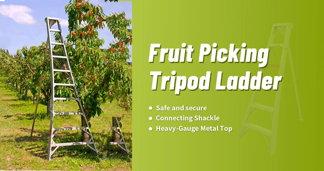 Basic Customization Heavy Duty Agriculture Orchard Aluminum Tripod Ladder for Cherry Picking