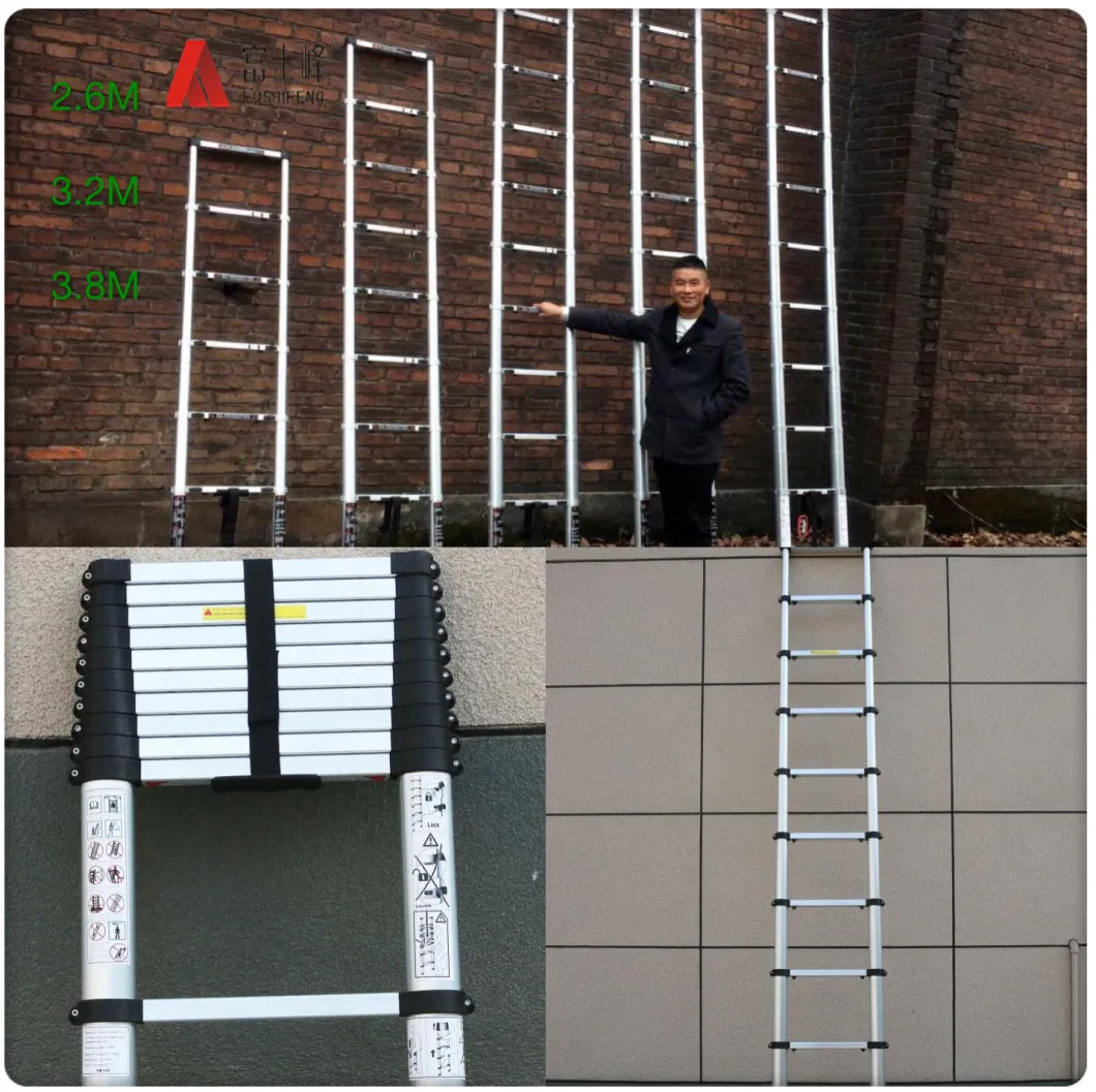 Single Stright Step Ladder with 3.2m